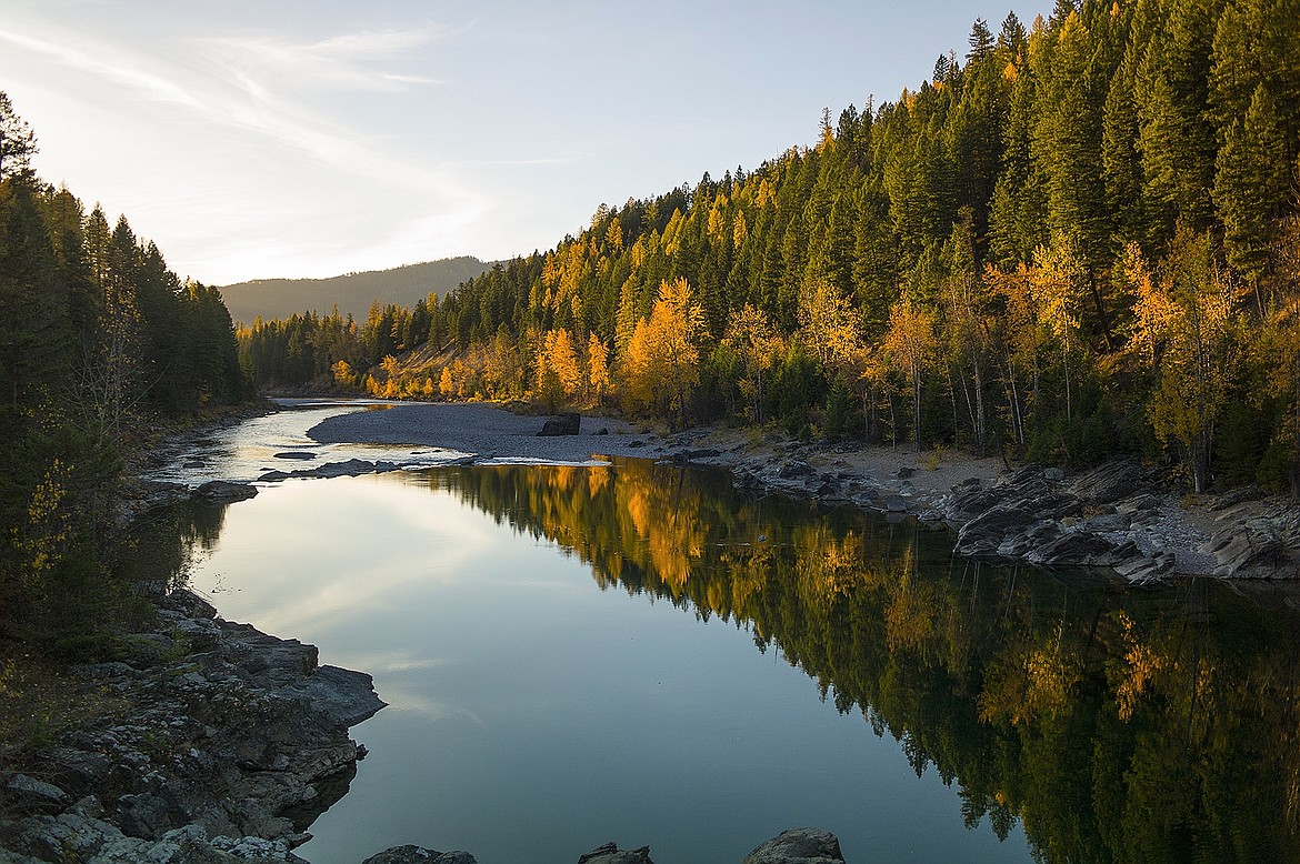 Fall colors on the Middle Fork of the Flathead.