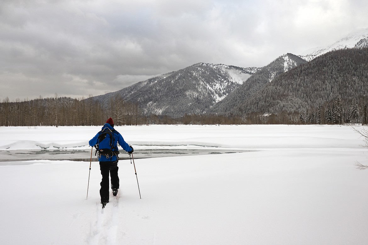 Bob Hall, professor at Flathead Lake Biological Station, looks out over the Nyack Flats on the Middle Fork of the Flathead River on Feb. 6. (Casey Kreider/Daily Inter Lake)