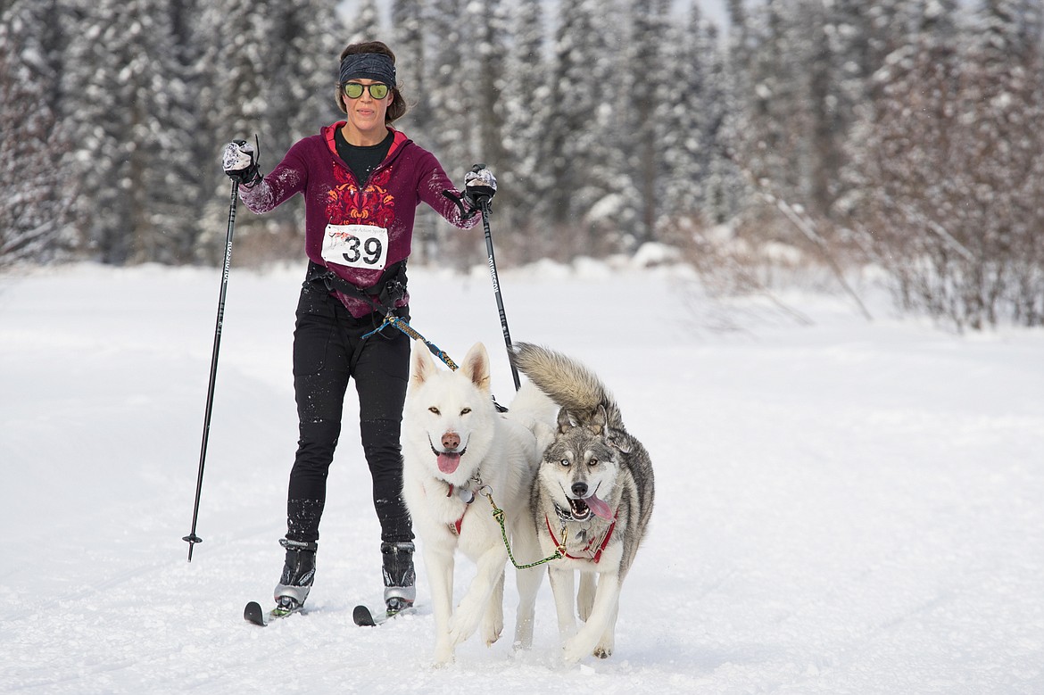 Elsa Janney and her huskies race through the course at the Flathead Classic Dog Sled Race on Saturday near Olney.