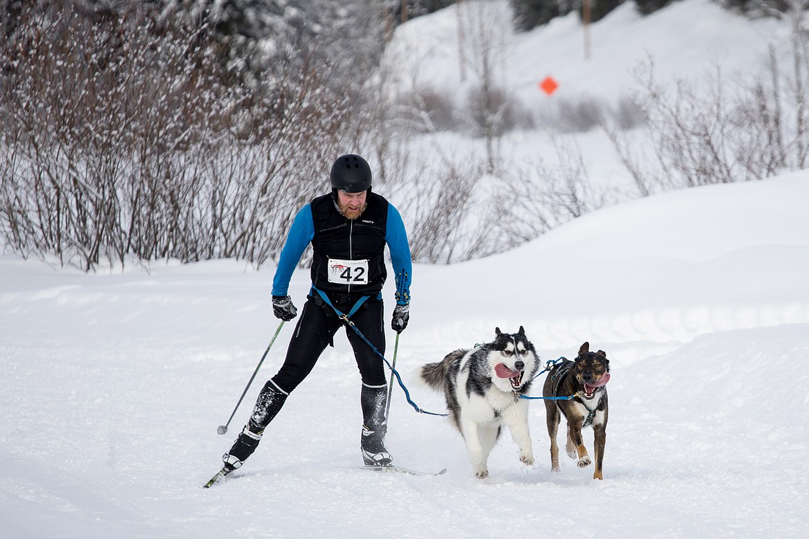 A skier rides behind his pups during the the Flathead Classic Dog Sled Race on Saturday near Olney.