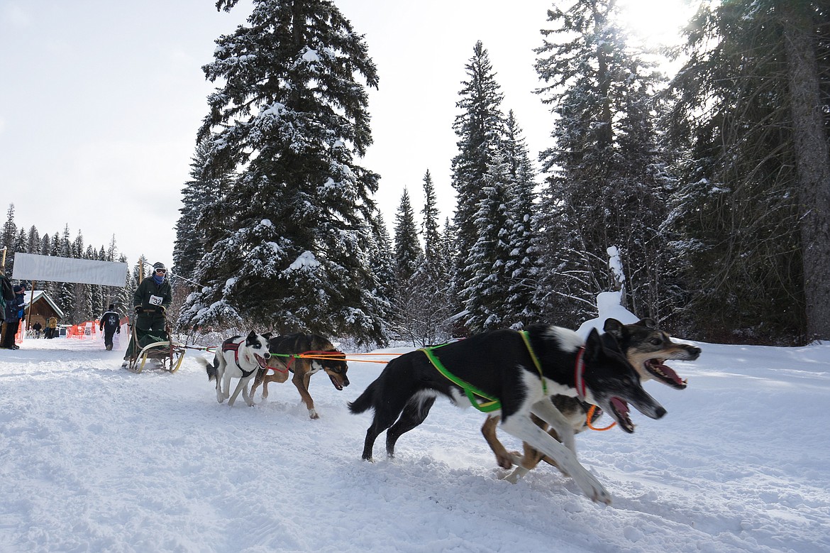 A four-dog team gets off and running at the Flathead Classic Dog Sled Race on Saturday near Olney.