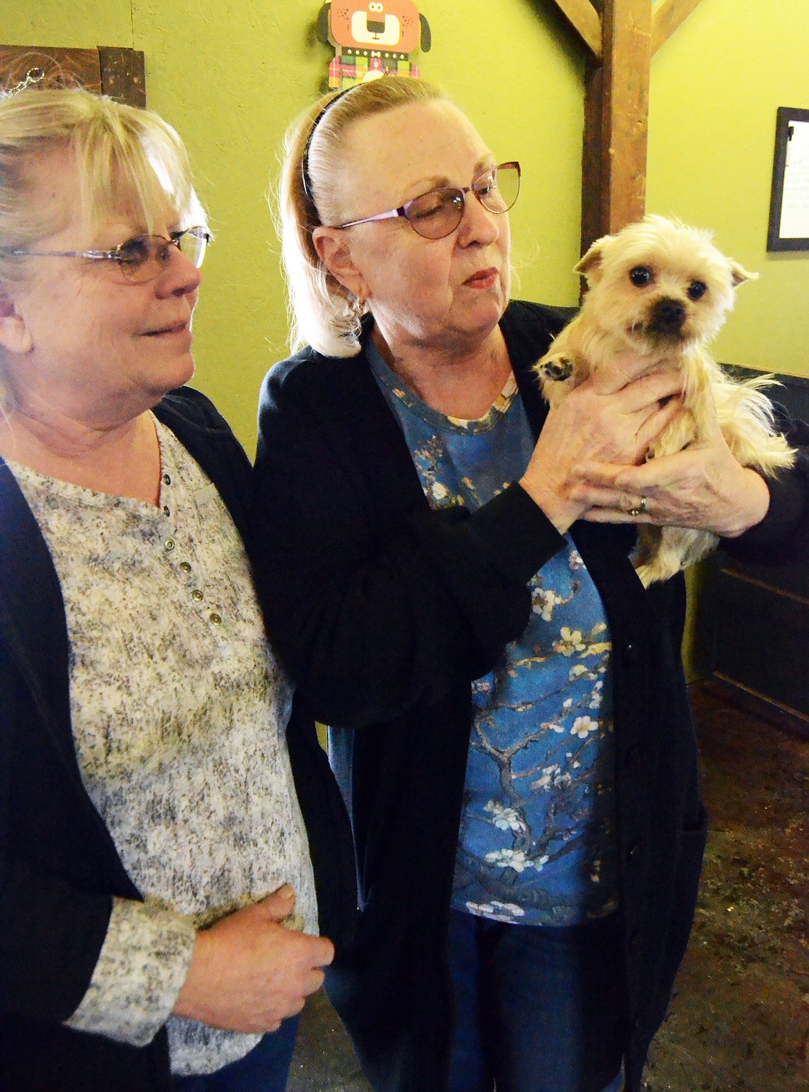 Pattie Waltner,  left, with Pat Farmer and Petey check out Wagn Tails in Plains last week. (Erin Jusseaume/ Clark Fork Valley Press)