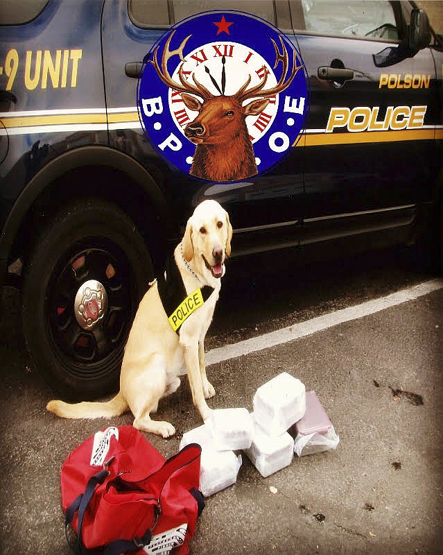 K-9 BRODY FROM the Polson Police Department is 8 years old, and will retire from his patrolling duties this year. (Photo provided courtesy of Polson Police Department Facebook page)