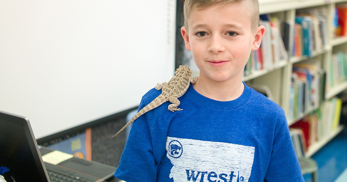 Ruder Elementary 'Great Brain' winners Hungry Horse News