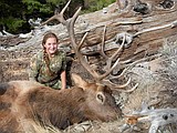 Rocky Mountain Elk Foundation banquet coming to fairgrounds