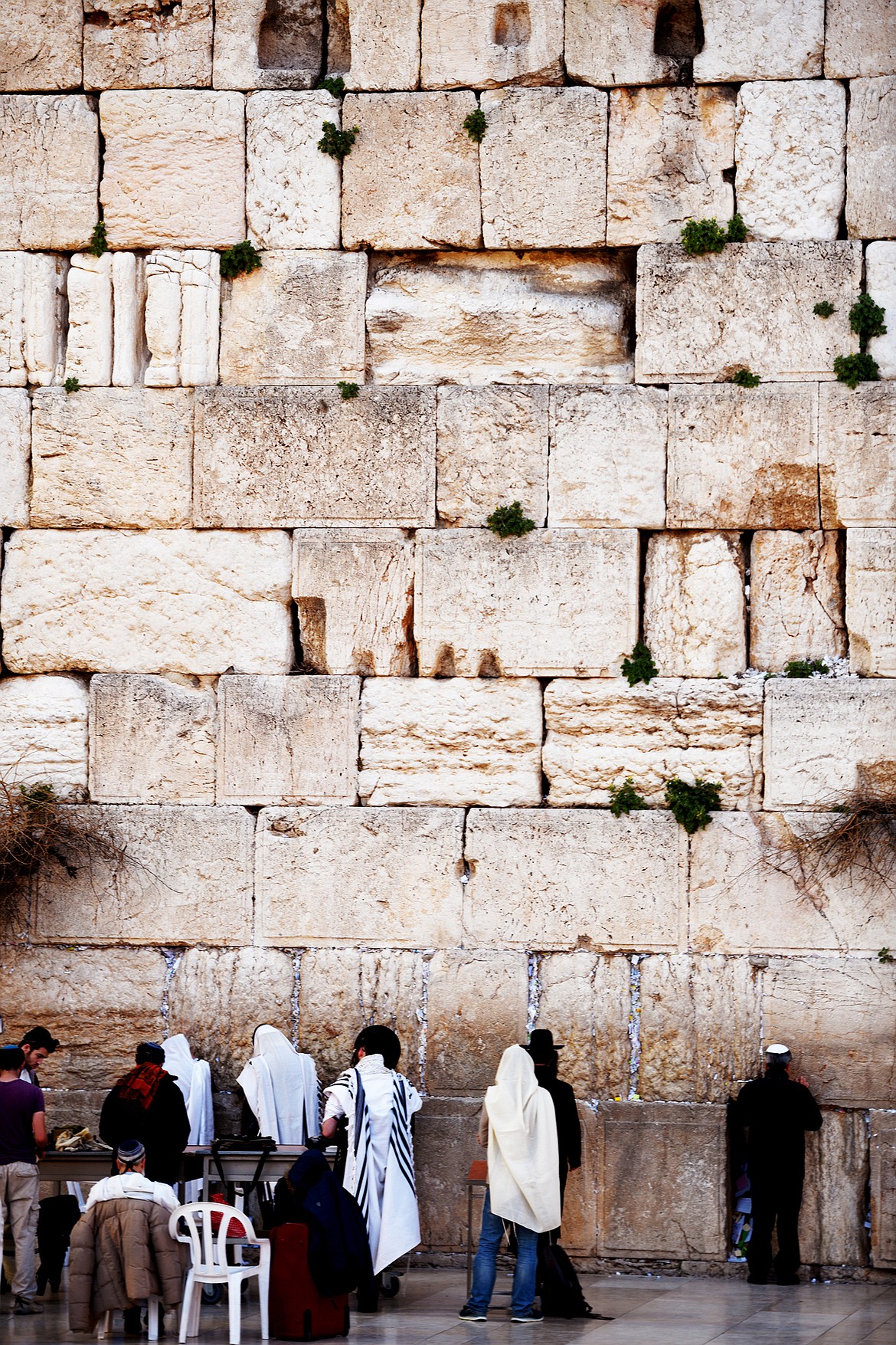 Jewish men line up along the base of the Western Wall for morning prayers on Feb. 22, in Jerusalem. The men&#146;s section takes up three quarters of the total length of the Wall, the holiest site to Jews around the world.&#160;