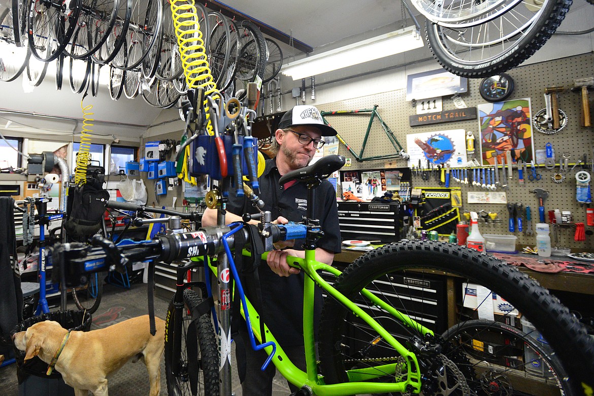 Pete Derrick, accompanied by shop dog Rooster, works on a bike at Wheaton&#146;s Cycle on March 8.