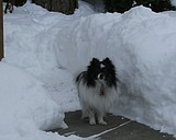 Is spring really here?