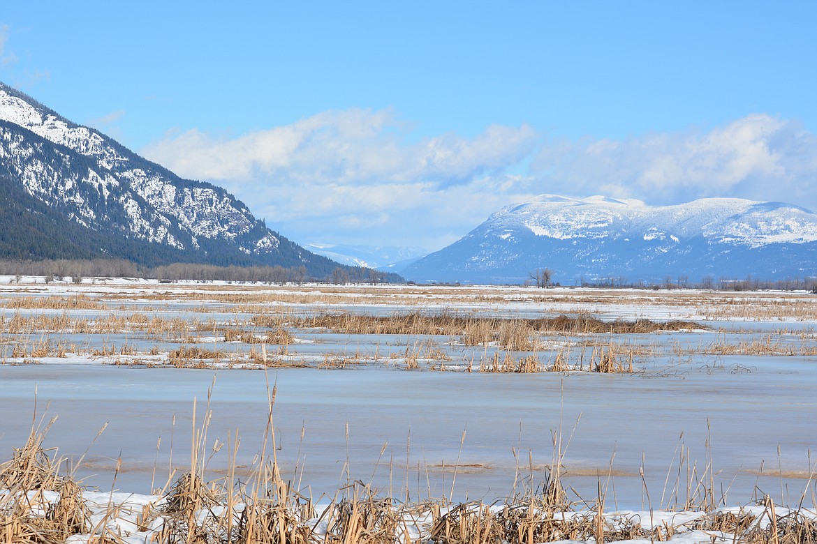 Photos by Don Bartling
Looking north from the Kootenai National Wildlife Refuge wetlands toward Canada, the Selkirk Mountains and Mount Hall. The ground was clearly covered in snow which has been there for most of the winter, but now it is March and it is time for a change.