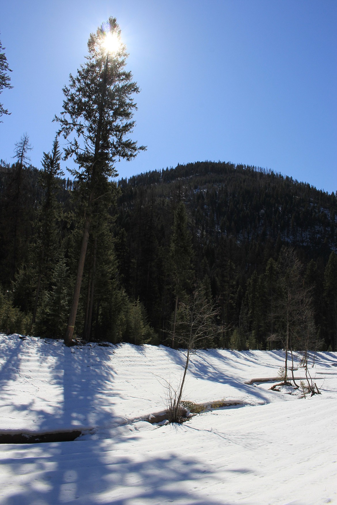 The Flat Creek Iron Mountain Mine Superfund project is nearing completion north of Superior. A recent STAC report detailed the remaining projects including the search for an alternative water source for Superior. (Kathleen Woodford/Mineral Independent).