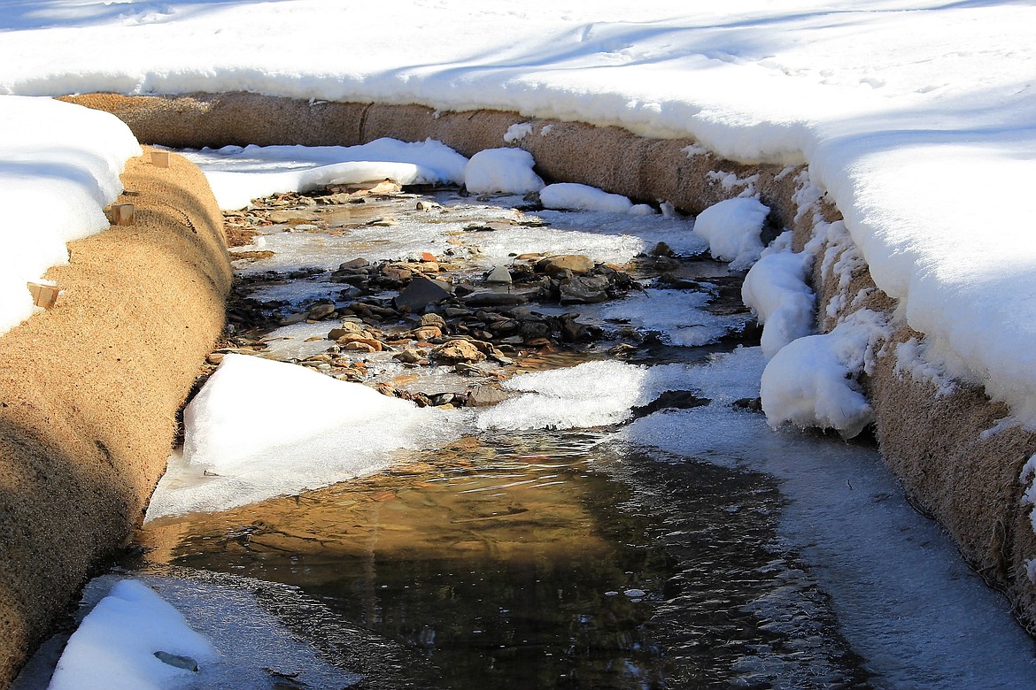 Snow over Flat Creek beds are starting to thaw revealing a layer of reseeding material along the banks. (Kathleen Woodford/Mineral Independent)