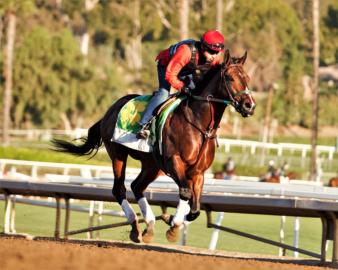 Mick Ruis&#146;s horse, Bolt d&#146;Oro, along with jockey Javier Castellano, won the San Felipe Stakes March 10, qualifying them for the Kentucky Derby. (photo by Jerry Espinoza)