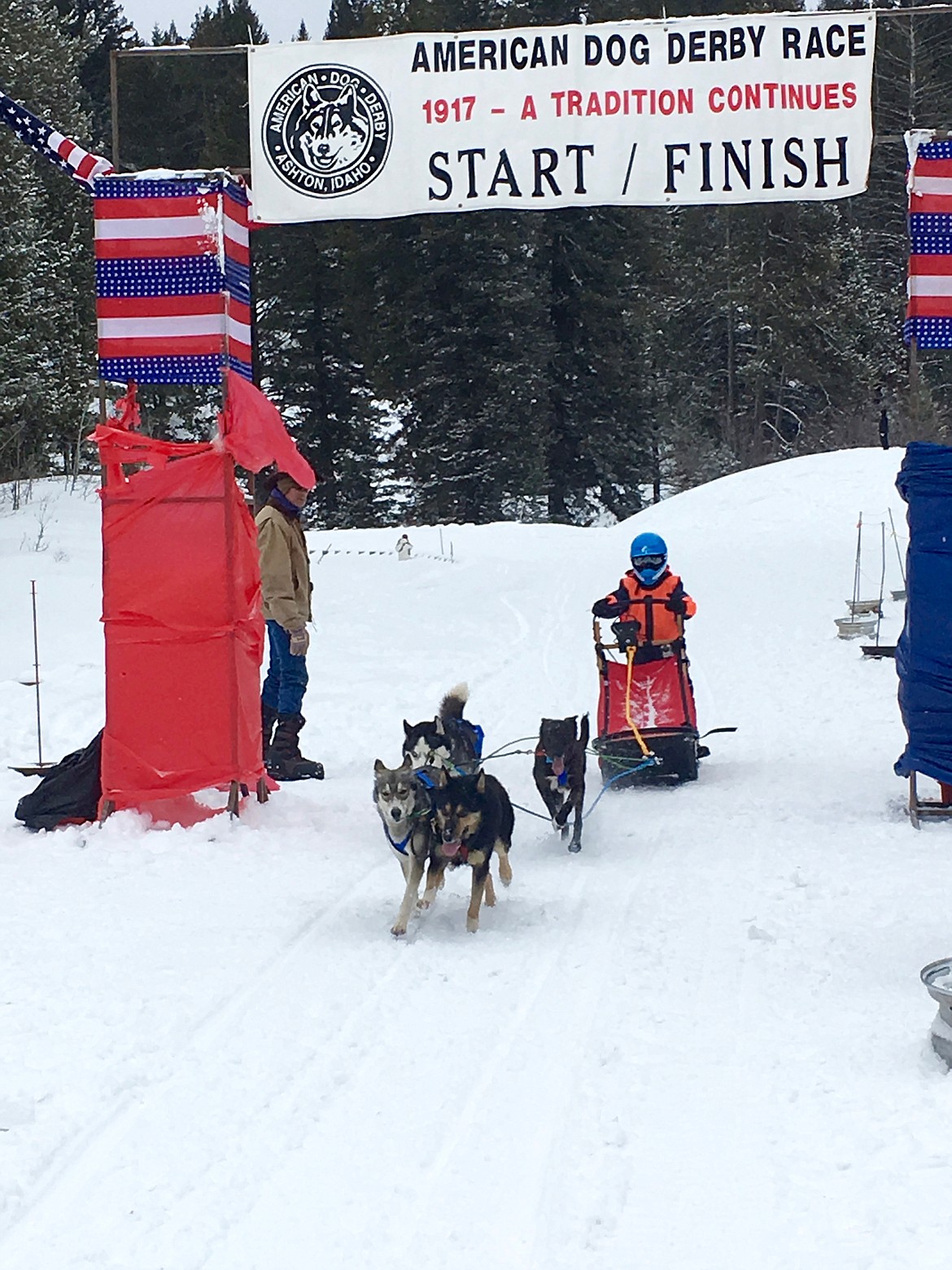 &#147;The Hurricane&#148; Crosses the finish line in Ashton at the American Dog Derby.