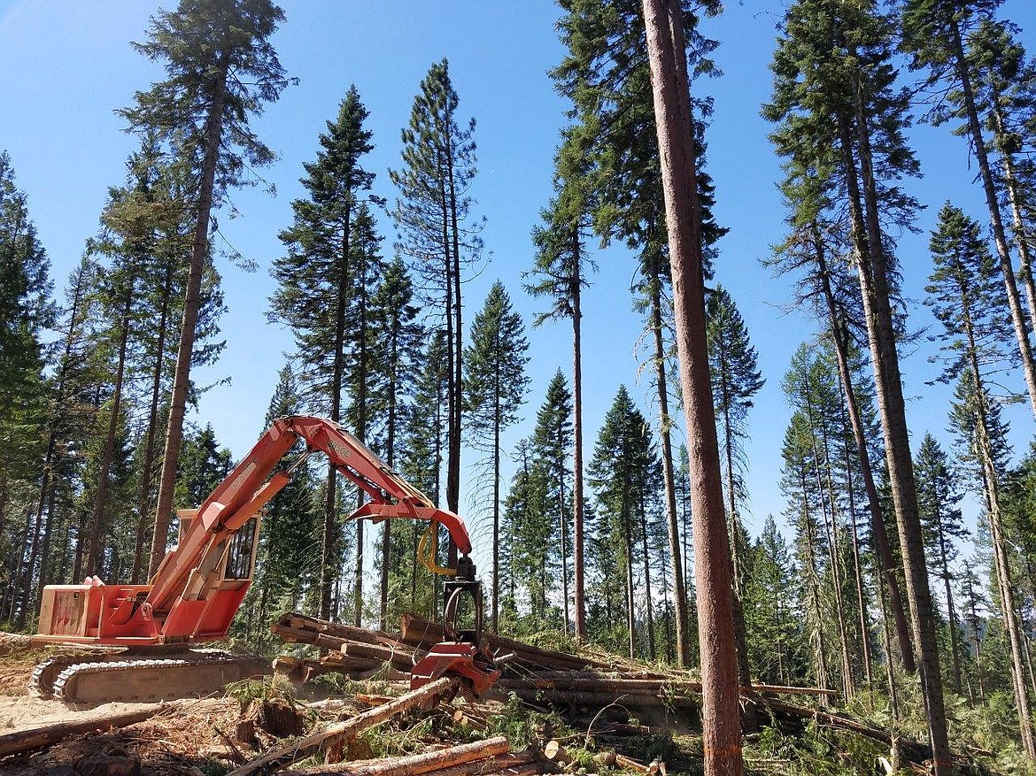 A harvest operation of the 200-acre Wapiti thinning project on the Nez Perce Clearwater National Forest; the project aims to reduce fire fuels and generate $1.5 million in GNA program income.
Photo courtesy of U.S. FOREST SERVICE