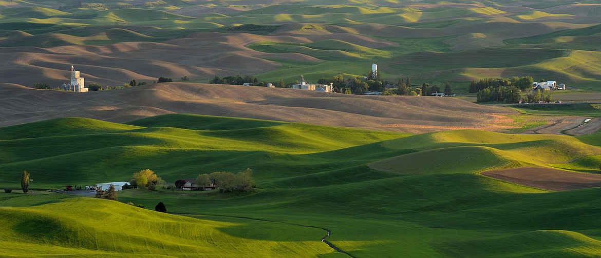 Vic Harris, &#147;Palouse Farmland&#148;