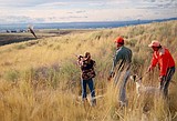 Kids get to hunt pheasants for free