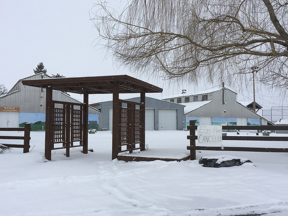 HEAVY, WET snow was the reason behind the cancellation of the Mission Mountain Enterprises Easter egg hunt Saturday, March 31. Organizers say that was the first time it was cancelled in the more than 20 years of the event. (Ashley Fox/Lake County Leader)