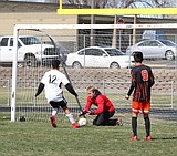 Huskies pick up two wins and a tie the pitch