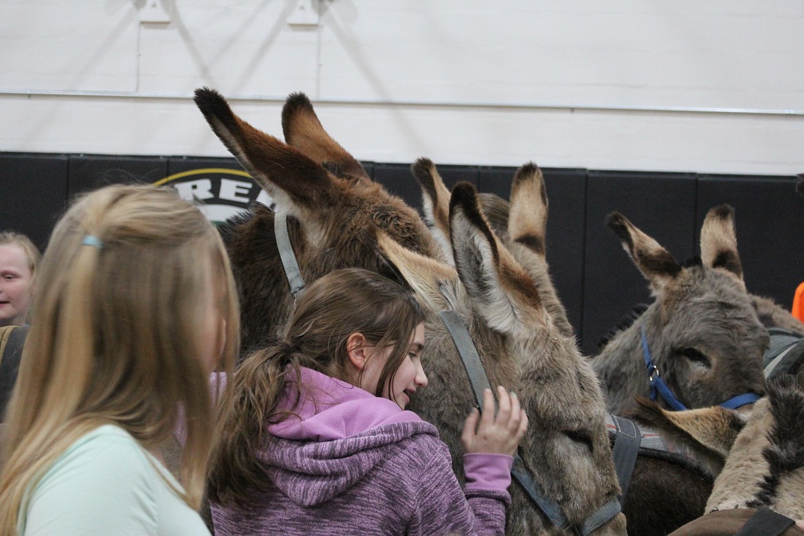 Everybody loves a donkey and audience members were able to show their affection during half-time of Donkey Basketball in St. Regis on March 28.