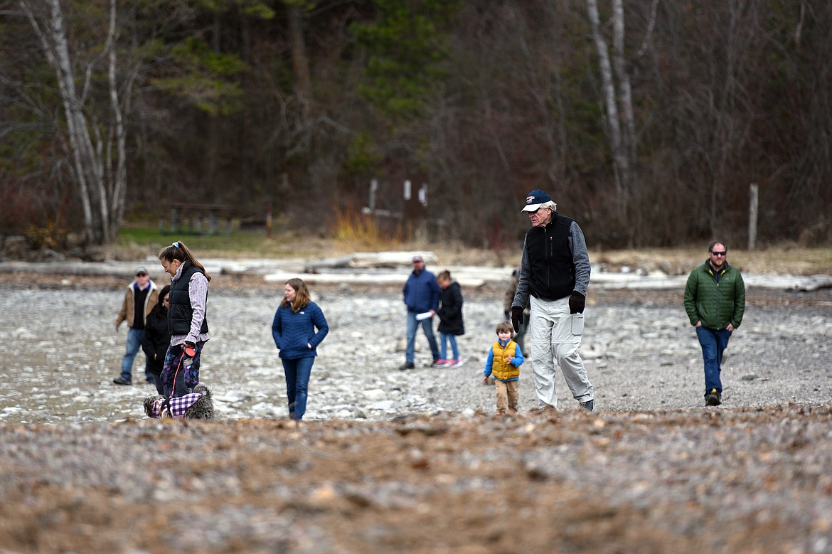 Attendees search for mussels at the Flathead Lake Community Mussel Walk at the Wayfarers Unit of Flathead Lake State Park in Bigfork on Saturday. (Casey Kreider/Daily Inter Lake)