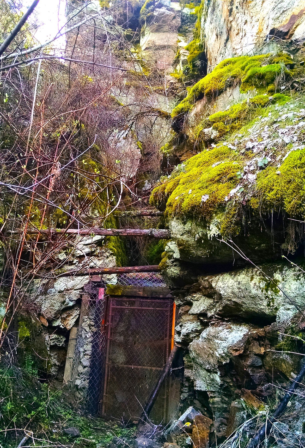 Remnants of what is believed to be Diamond Dicks mine at Qemiln Park. (Photo by BRIAN WALKER)