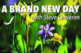 North Idaho love affair blossoms