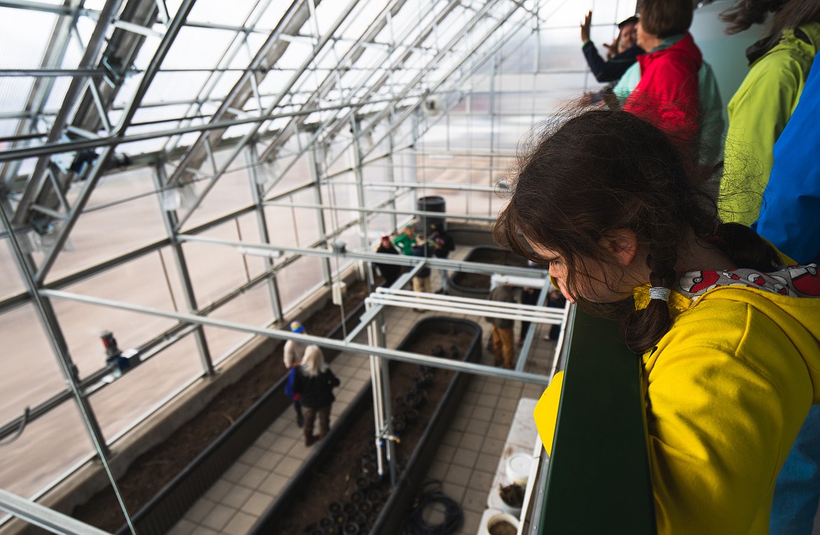 A youngster looks from the second-story balcony at the new Center for Sustainability and Entrepreneurship during the center's opening at Earth Day celebrations Saturday afternoon.