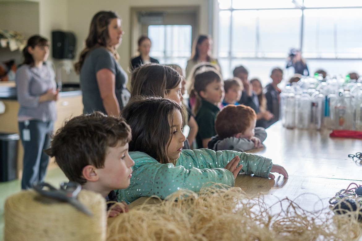 Students Guston Buffington and Baylee Ekern-Gonzales await instructions last week inside the Center for Sustainability and Entrepreneurship. (Daniel McKay photos/Whitefish Pilot)