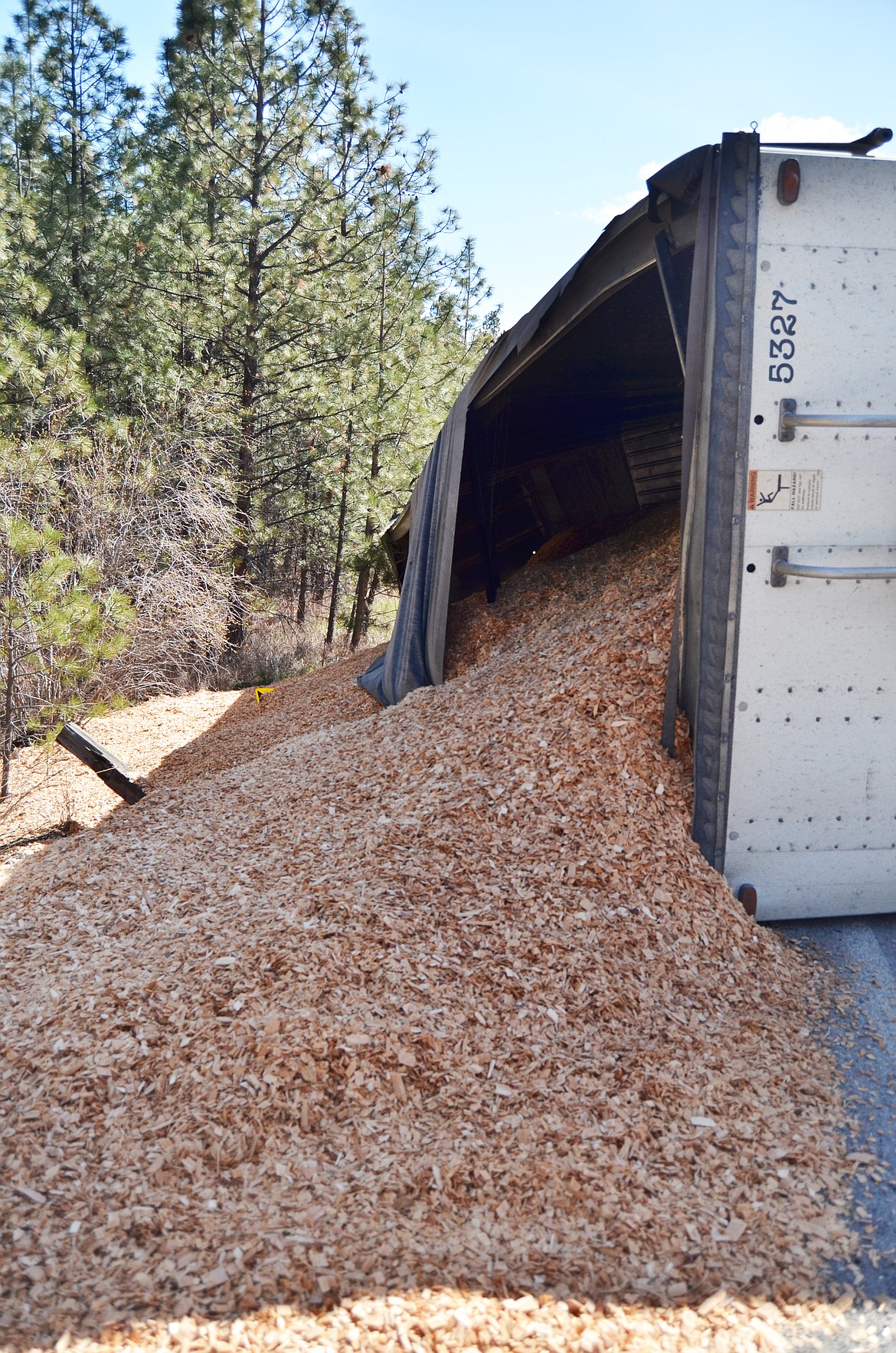 A full load of untreated wood chips push over the fence off the roadside as well as burying road signs as it rests on the corner (Erin Jusseaume/Clark Fork Valley Press)