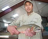 Wilderness trout project coming to an end