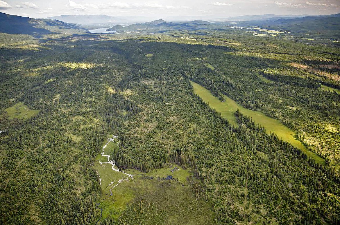 Aerial view of Stillwater State Forest northwest of Whitefish (Montana Fish, Wildlife and Parks)