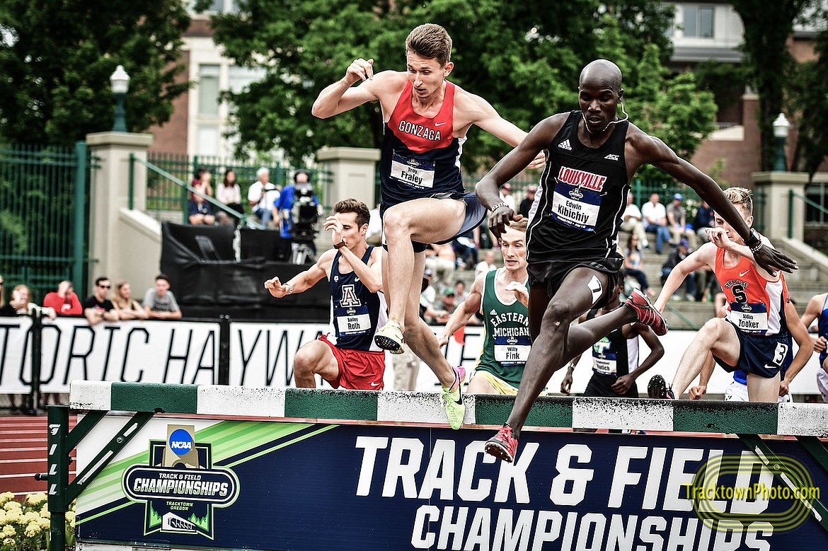 Gonzaga junior Troy Fraley leaps over the water pit during the 3,000-meter steeplechase semifinals on Wednesday at the NCAA outdoor track and field national championships at Hayward Field in Eugene, Ore. Fraley finished seventh in the finals on Friday, becoming the first All-American finisher in Gonzaga history. (TracktownPhoto.com photo)