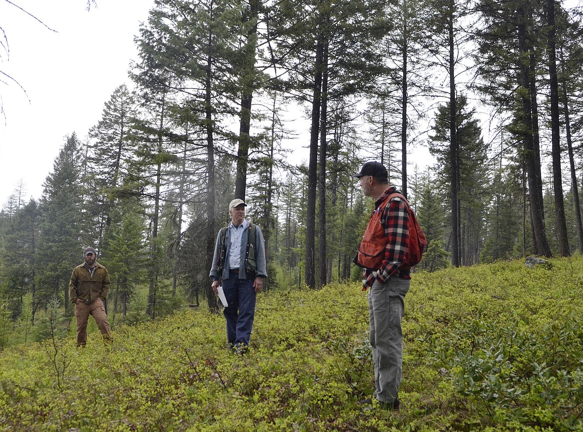 During a field tour Saturday, DNRC representatives Matt Lufholm, Mike McMahon and Dave Ring stand in an area that was part of a previous timber sale while explaining what the forest should like following the proposed sale. (Heidi Desch/Whitefish Pilot)