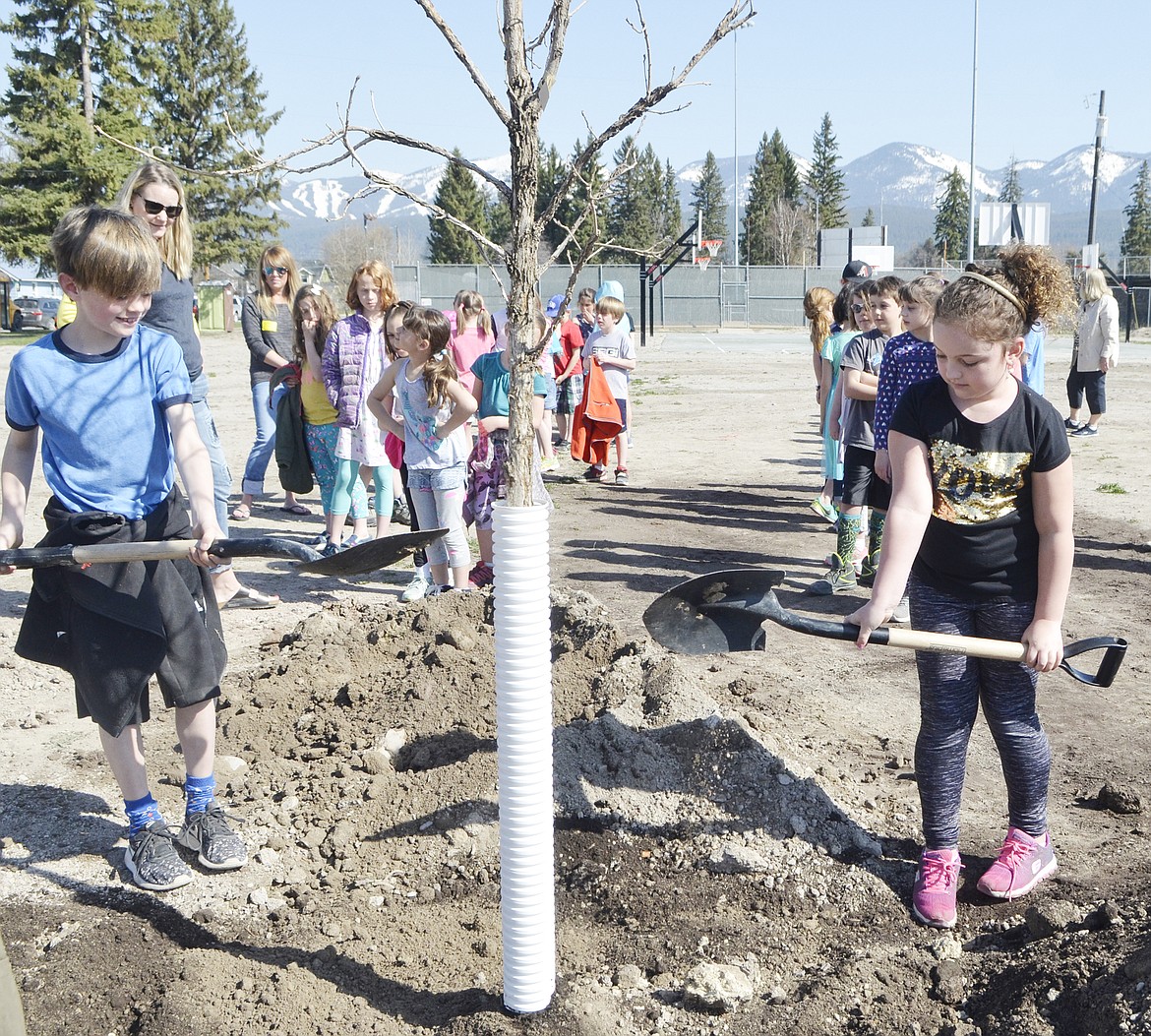 Muldown Elementary second-graders Breccan Snowden and Sophia Lonergan help plant a tree Friday morning at Memorial Park in celebration of Arbor Day. (Heidi Desch/Whitefish Pilot)