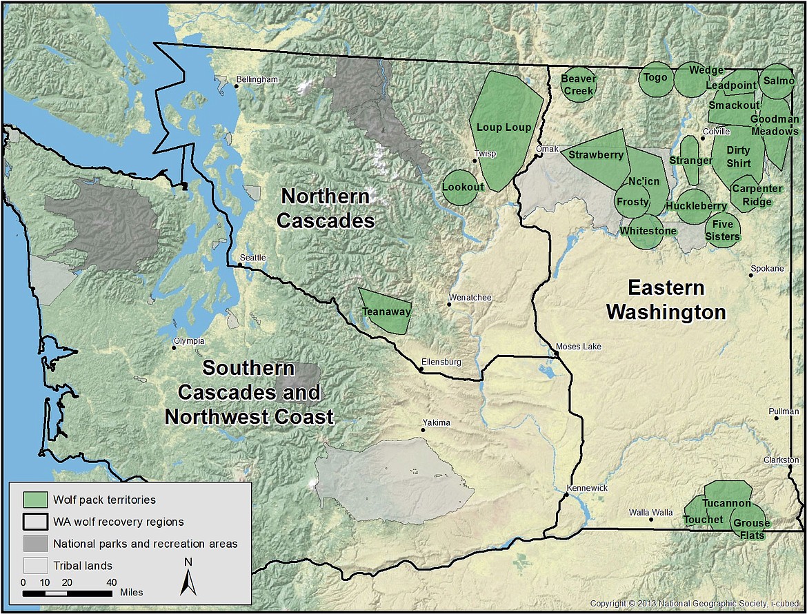 Map courtesy of Washington Department of Fish and Wildlife
The 22 wolf packs in Washington are concentrated in the Northeast corner of the state and 18 of them are above Spokane. It is time some are moved to Western Washington.