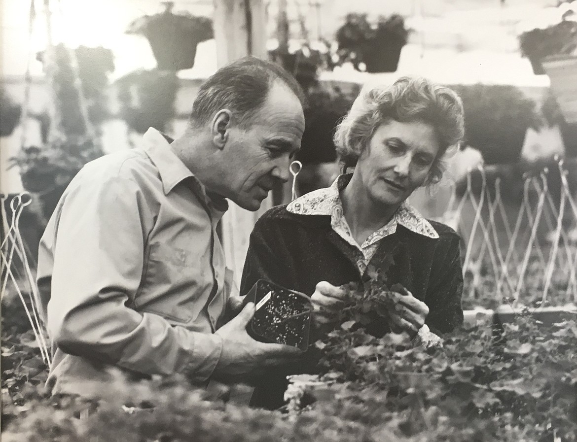 HANGING ABOVE the till at South Shore Greenhouse is a photo of Fred and Lois Shore at a greenhouse they owned in Anchorage, Alaska. (Photo provided courtesy of South Shore Greenhouse)