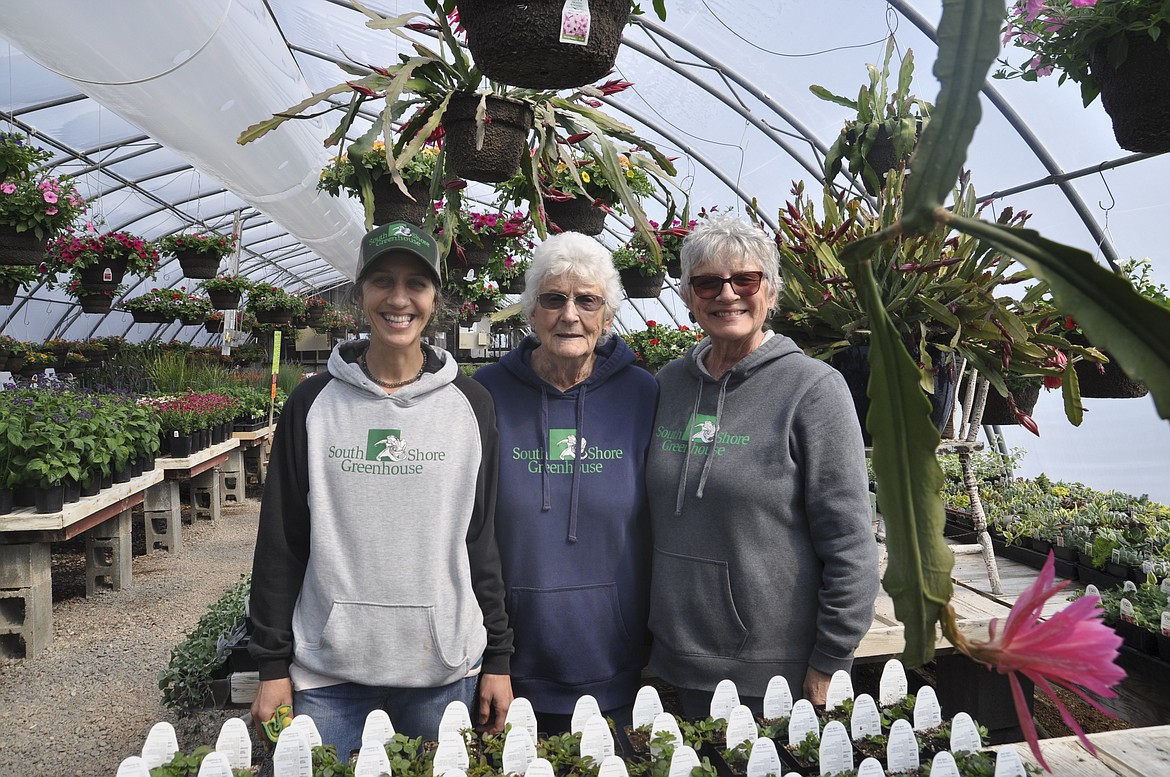 THREE GENERATIONS of the Shore family women work at the South Shore Greenhouse in Polson, including Kari Wise, Lois Shore and Kathy Shore, pictured left to right. (Ashley Fox/Lake County Leader)