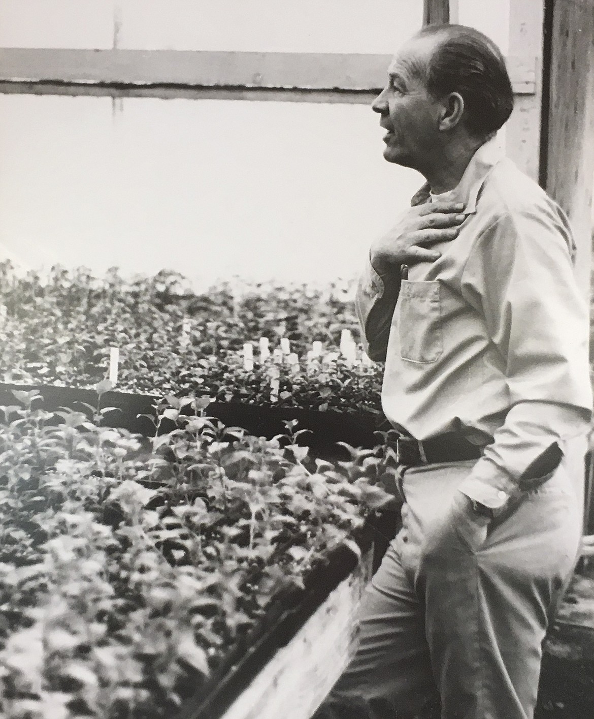 FRED SHORE is shown in a greenhouse in Anchorage, Alaska. (Photo provided courtesy of South Shore Greenhouse)