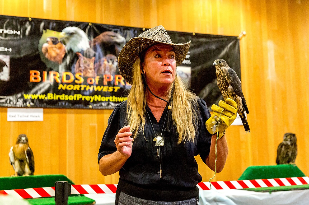 Janie Veltkamp discusses Madeline, a merlin, during a presentation at Libby Dam Saturday, April 28. In back are Briar, a red-tailed hawk, left, and Bubbah, a great-horned owl. (John Blodgett/The Western News)