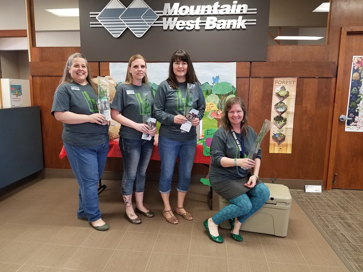 Photo by MANDI BATEMAN
Mountain West Bank celebrated Arbor Day by handing out seedlings. From left to right: Teresa Norman, Samantha Young, Tammy Klaus, and Teshra Robles with their seedlings.