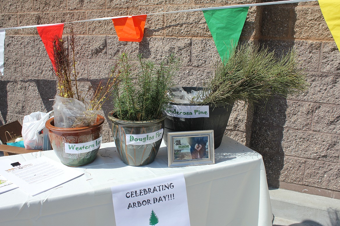 Photo by TANNA YEOUMANS
Seedlings were handed out as well during the Arbor Day celebration, encouraging people to plant trees.