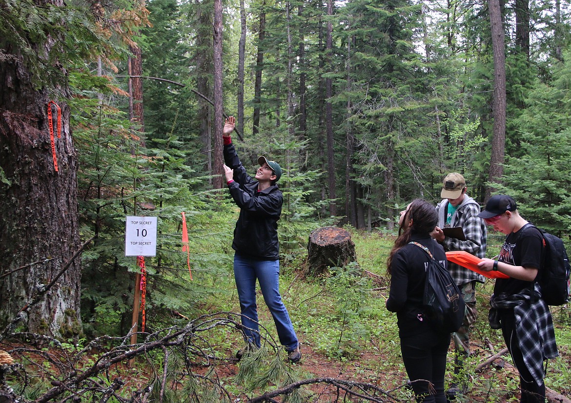 (Photo by MARY MALONE)
Erika Eidson, right, with Idaho Department of Lands, gives Idaho State Forestry Contest participants an introduction to the tree identification portion of the Idaho State Forestry Contest last Thursday, as the youth started with tree number 10 and worked their way backward.