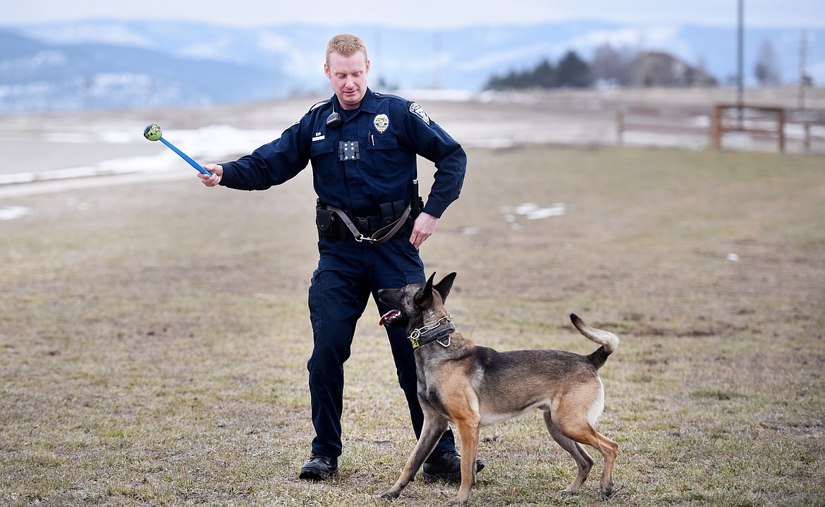 Cairo and former Kalispell Police officer Jason Parce play fetch in this file photo.(Brenda Ahearn/Daily Inter Lake FILE)