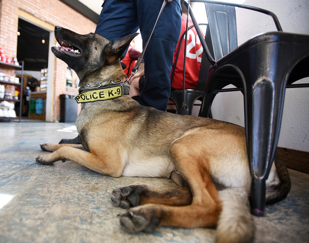 Officer Jason Parce and Cairo at Sweet Peaks in Kalispell.(Brenda Ahearn/Daily Inter Lake)