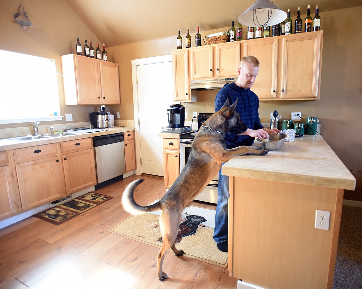 Officer Jason Parce makes lunch for Cairo. On this day the meal was stovetop oatmeal mixed with salmon, some dry dog food, bits of banana and frozen blueberries. Cairo ate around the blueberries.