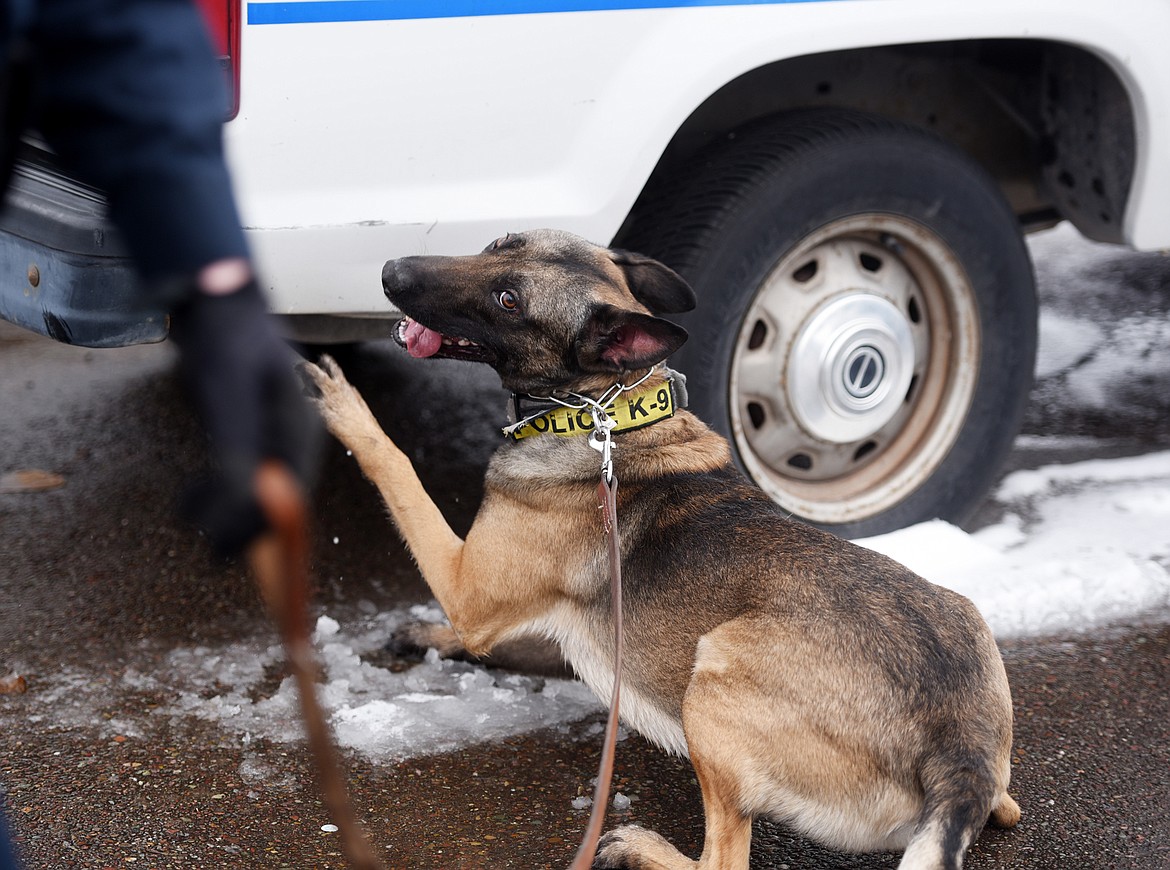 &#147;People ask me all the time, &#145;How does he indicate?&#146; On a find that is low to the ground, like in the tailpipe, he&#146;ll lay down and then put his paw where the drugs are,&#148; said Parce.