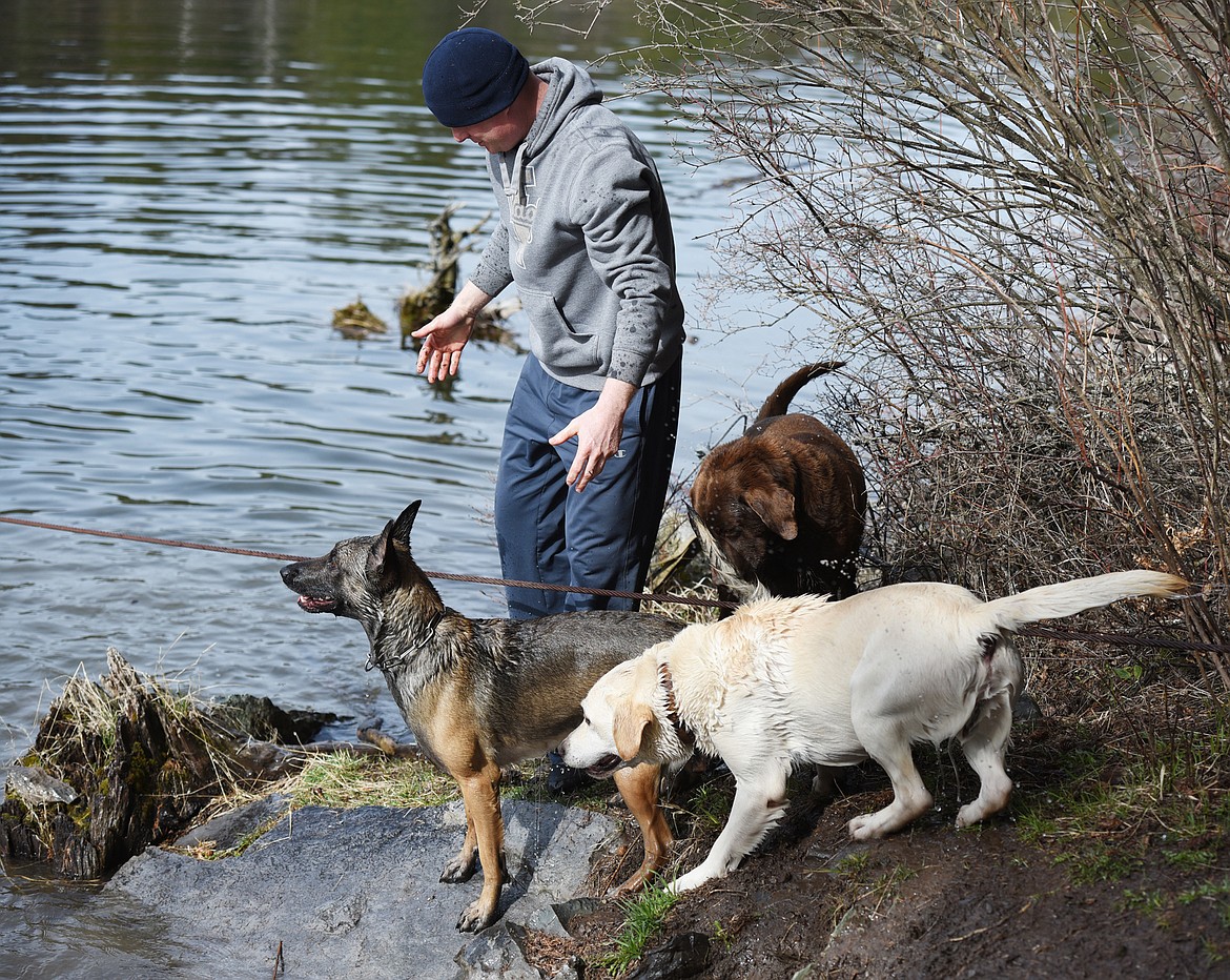 Officer Jason Parce takes his dogs Chester, JJ and Cairo down to the waters edge for a bit of play time.(Brenda Ahearn/Daily Inter Lake)