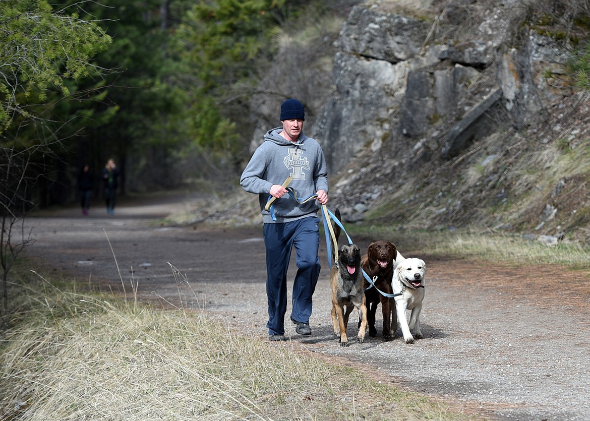 Officer Jason Parce takes Cairo for a run with his two other dogs, Chester and JJ, along the wild mile in Bigfork. Although he has had the two labs far longer, Cairo naturally positions himself closes to Parce as a protective measure.(Brenda Ahearn/Daily Inter Lake)