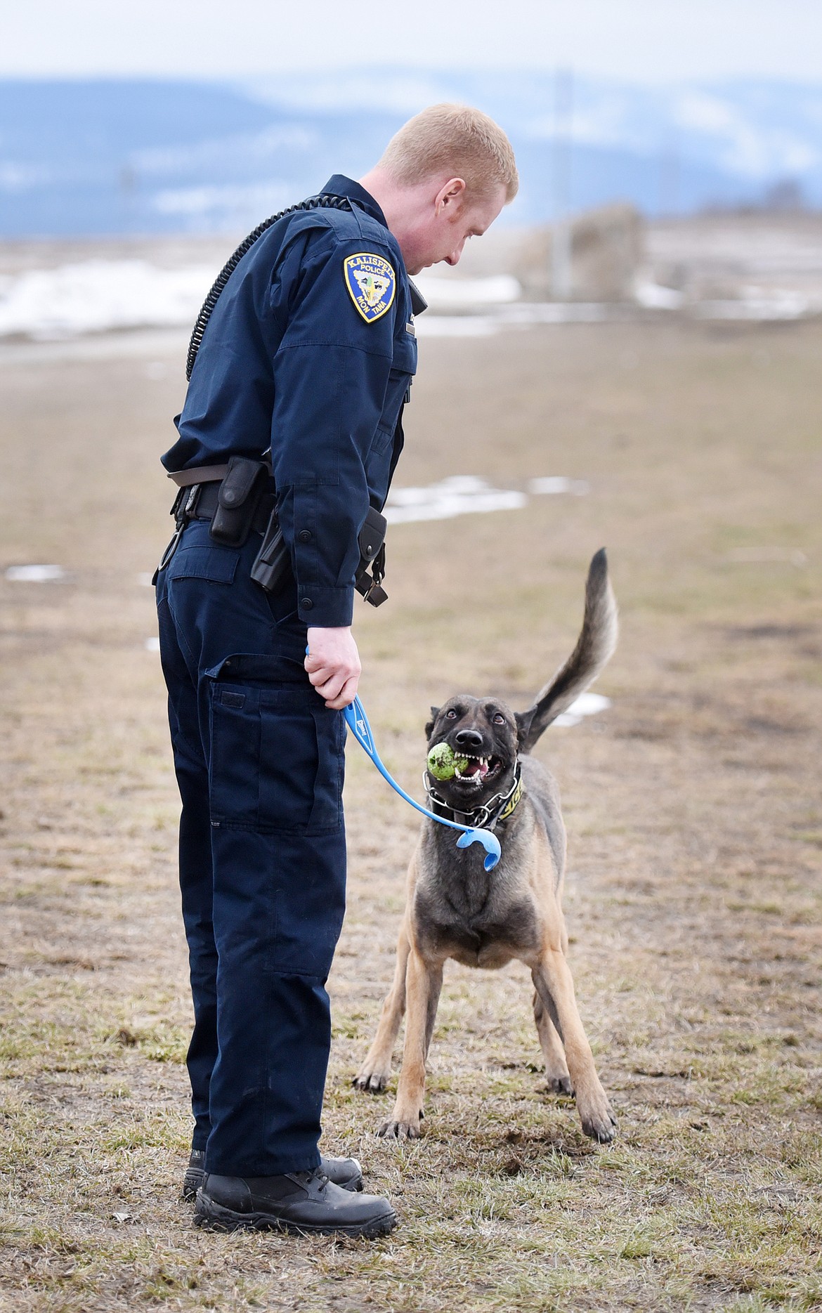 Cairo and Officer Jason Parce playing fetch.(Brenda Ahearn/Daily Inter Lake)