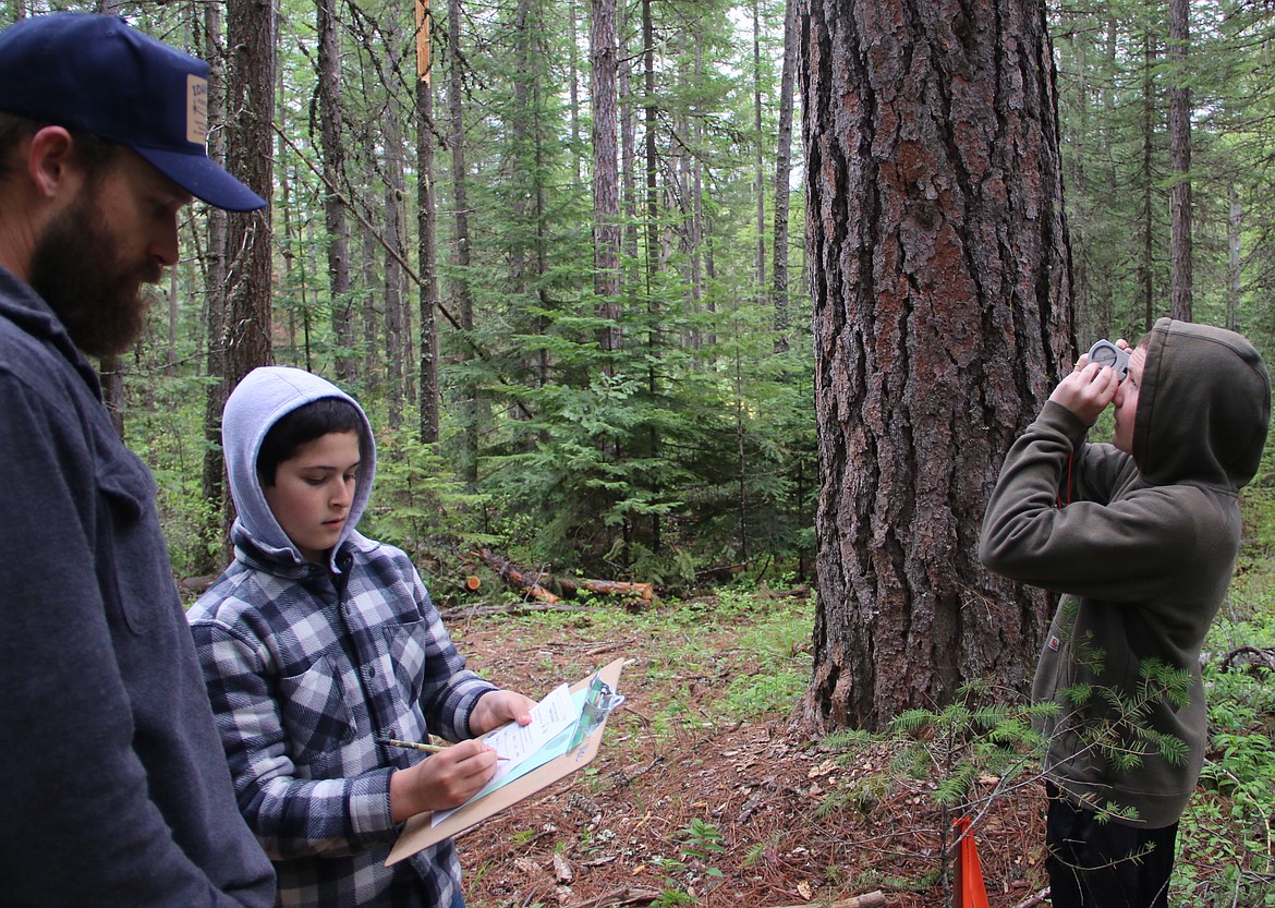 (Photo by MARY MALONE)
Clark Fork Junior High students Anthony Cohick, second from left, and Cole Reuter, right, participate in the timber cruising portion of the Idaho State Forestry Contest on Thursday, held at the Delay Farm in Careywood.